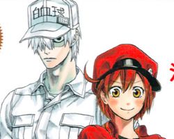 Hataraku Saibou ∙ Hyped.jp