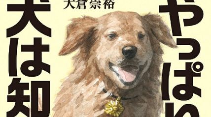 やっぱり犬は知っている ∙ Hyped.jp
