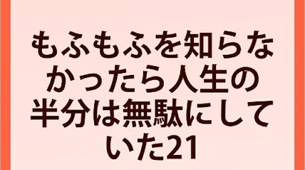 もふもふを知らなかったら人生の半分は無駄にしていた 21巻 ∙ Hyped.jp