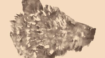 小説集 熊 ∙ Hyped.jp